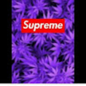 Meet your Posher, Ghost